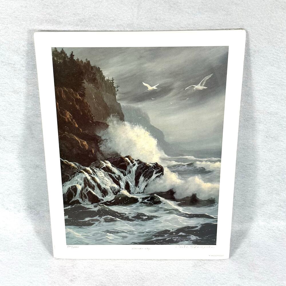 Vtg Limited Edition Print Carol Thompson 820/2000 Signed Cert of Authenticity